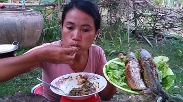 Yummy Pangasius Fish Fry Ginger Cooking Soybean Past  Fish - Cooking skill