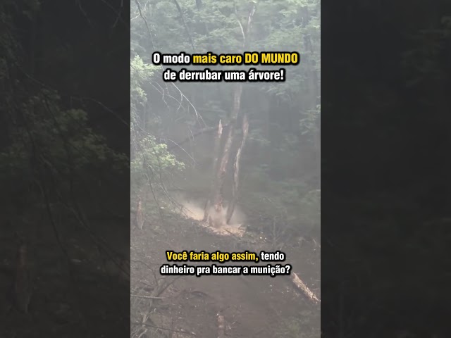 Cortando uma árvore da maneira mais cara  possível!