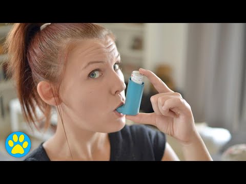 Managing Asthma & Pets