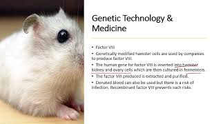 Chapter 19.4: Genetic Technology and Medicine