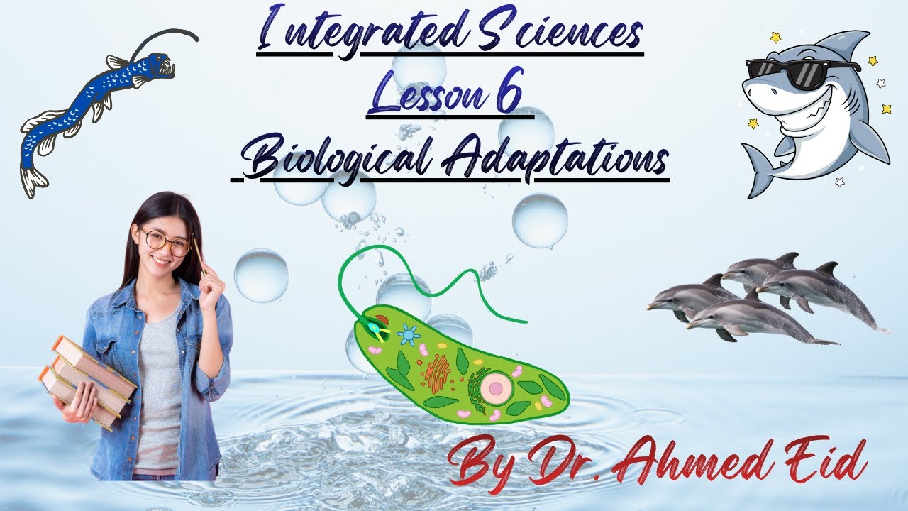 Secondary - 1st - Integrated Sciences - Lesson 6 - Biological Adaptations of Aquatic Organisms
