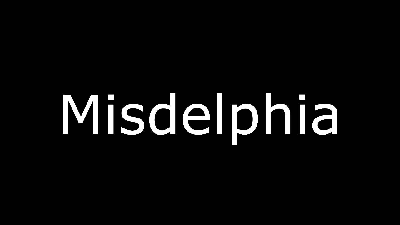 misdelphia aviation