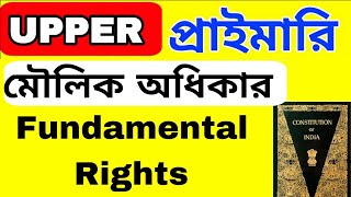 মৌলিক অধিকার//fundamental rights//upper primary Indian polity//upper primary social studies//tet2026