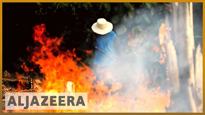 Analysis: Amazon rainforest fire - how can we help?