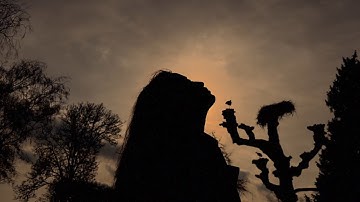 Annreal x RJ - Let it Flow (Official Music Video)