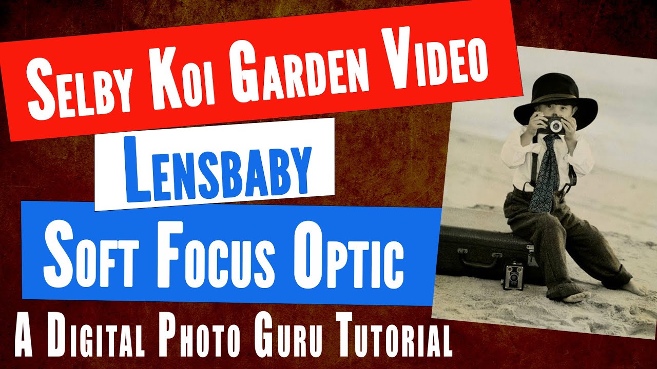 Selby Garden Koi Pond Video Shot with a Lensbaby Optic