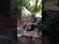 زين في غراند هيلز أوتيل يعمل مع المعلم مارون دكاش في صيانة ريغارات أحواض الزراعة برمانا لبنان