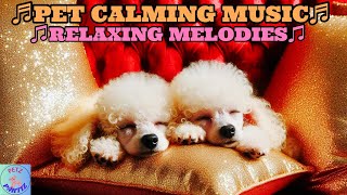 SOOTHING SLEEPY SOUNDS YOUR PETS WILL LOVE!🐶💖Calm Your Dogs in 😴”Better Sleep Month”!😴