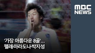 '가장 아름다운 8골'…펠레·마라도나·박지성 [뉴스데스크]