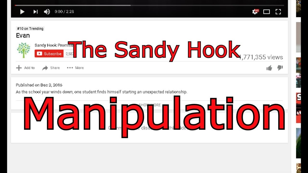 The Sandy Hook Manipulation gun control pros and cons
