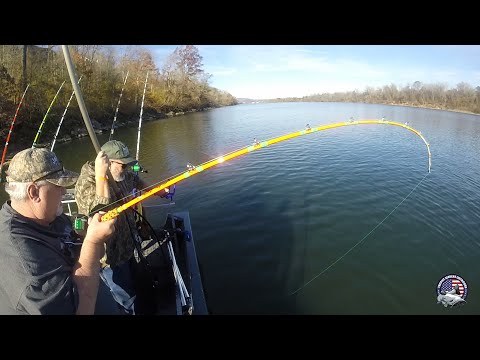 Breaking In My New Mad Katz Rods (Tennessee River Monsters) 