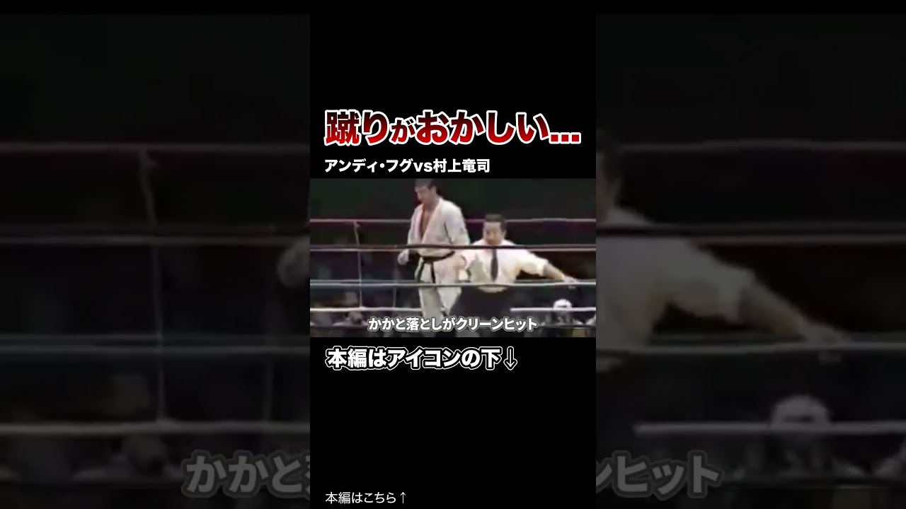 「まるで漫画のようだ…」異次元すぎるハイキックKO16連発！！【格闘技】#格闘技 #ボクシング #MMA