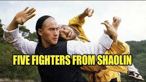 Wu Tang Collection - 5 Fighters From Shaolin