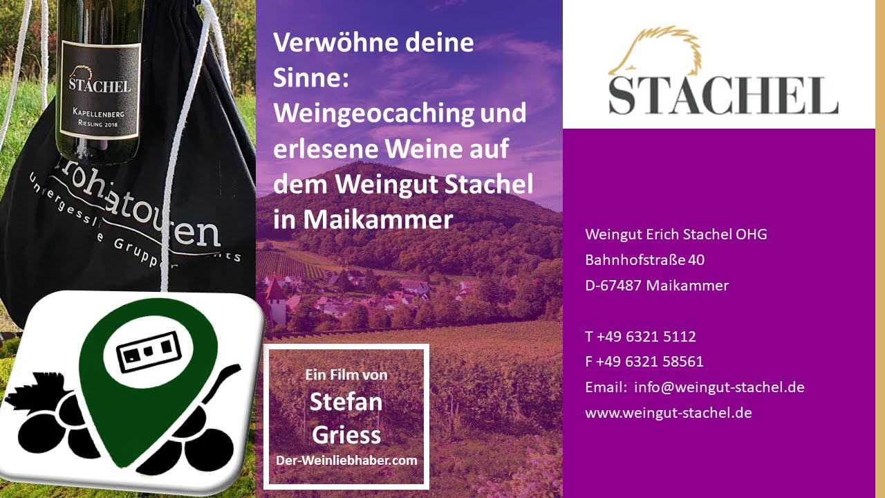 Verwöhne deine Sinne: Weingeocaching und erlesene Weine auf dem Weingut Stachel in Maikammer