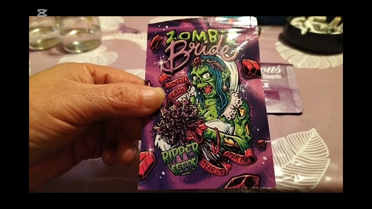 Arrancando nuevo seguimiento 