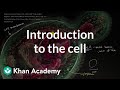 Cellular Complexity and the Building Blocks of Life