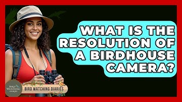 What Is The Resolution Of A Birdhouse Camera? - Bird Watching Diaries