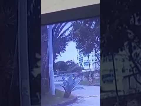 New footage captures deadly Oliver Tree helicopter crash