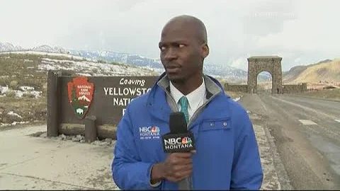 reporter leaves when herd of bison approaches