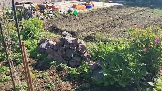 Видео "С добрым утром!". Впечатления дня. (автор: Марина Заболотская)