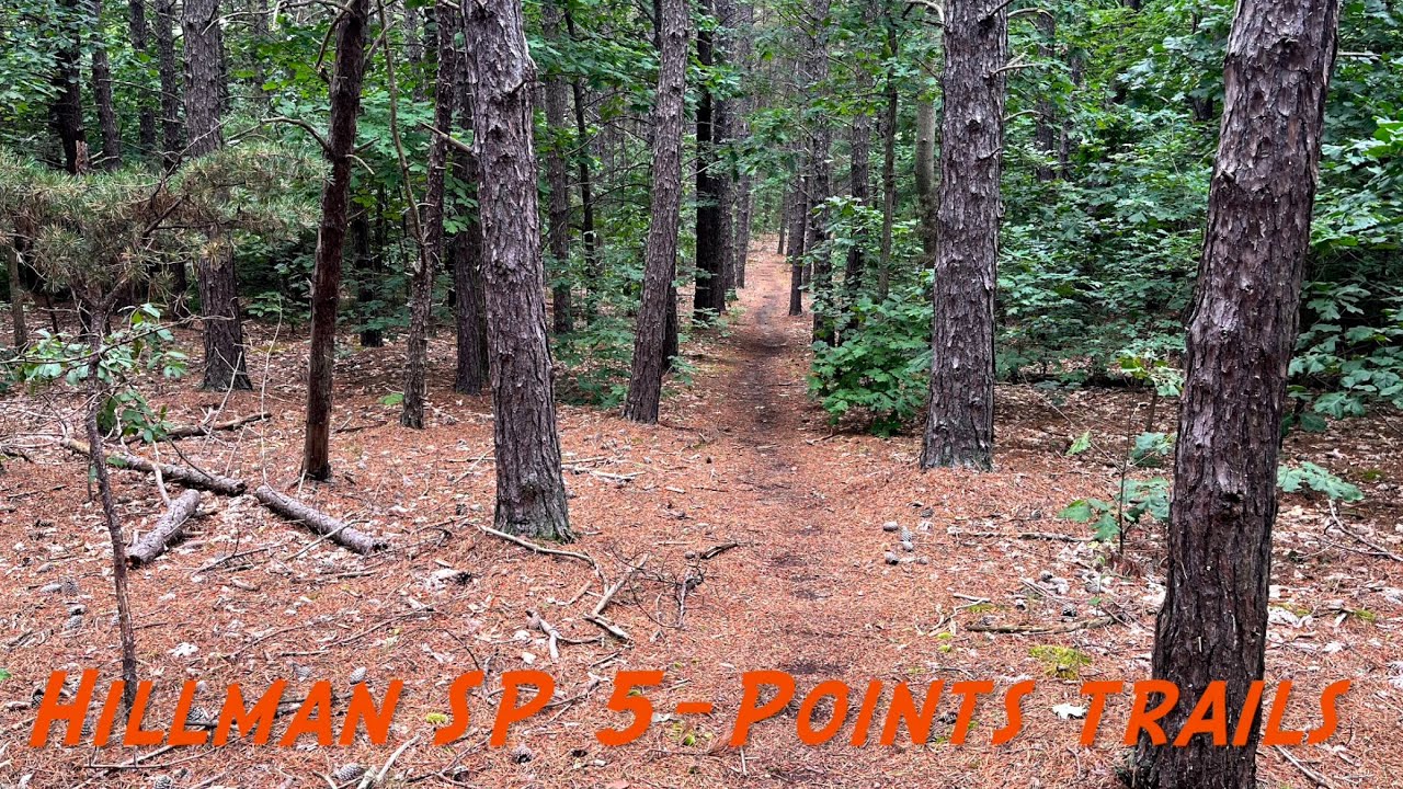 Hillman State Park 5Points trails YouTube