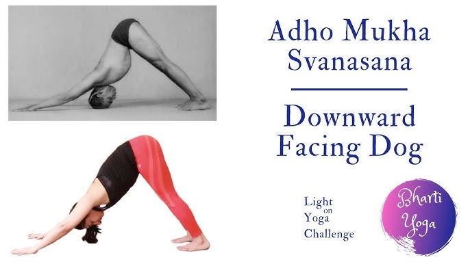 Adho Mukha Svanasana ( Downward Dog), Gallery posted by RnB Yoga Bae