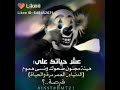 حالات واتس عيش حياتك على هيئة مجنون اقوى الحلات