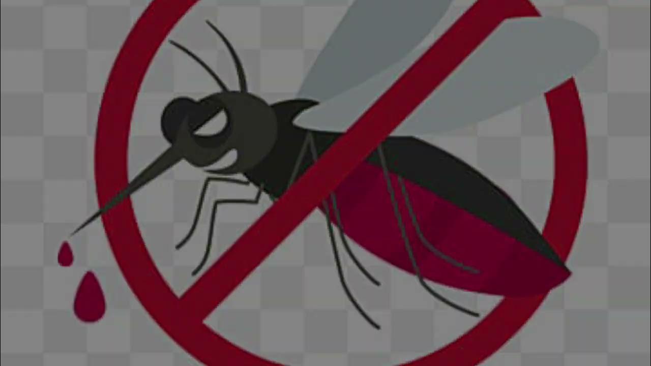 Mosquito repellent sound YouTube