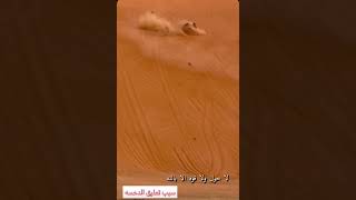 حادث مهدي السنر 17/12/2021- (كم قلبه قلب) (لا حول ولا قوة الا بالله )