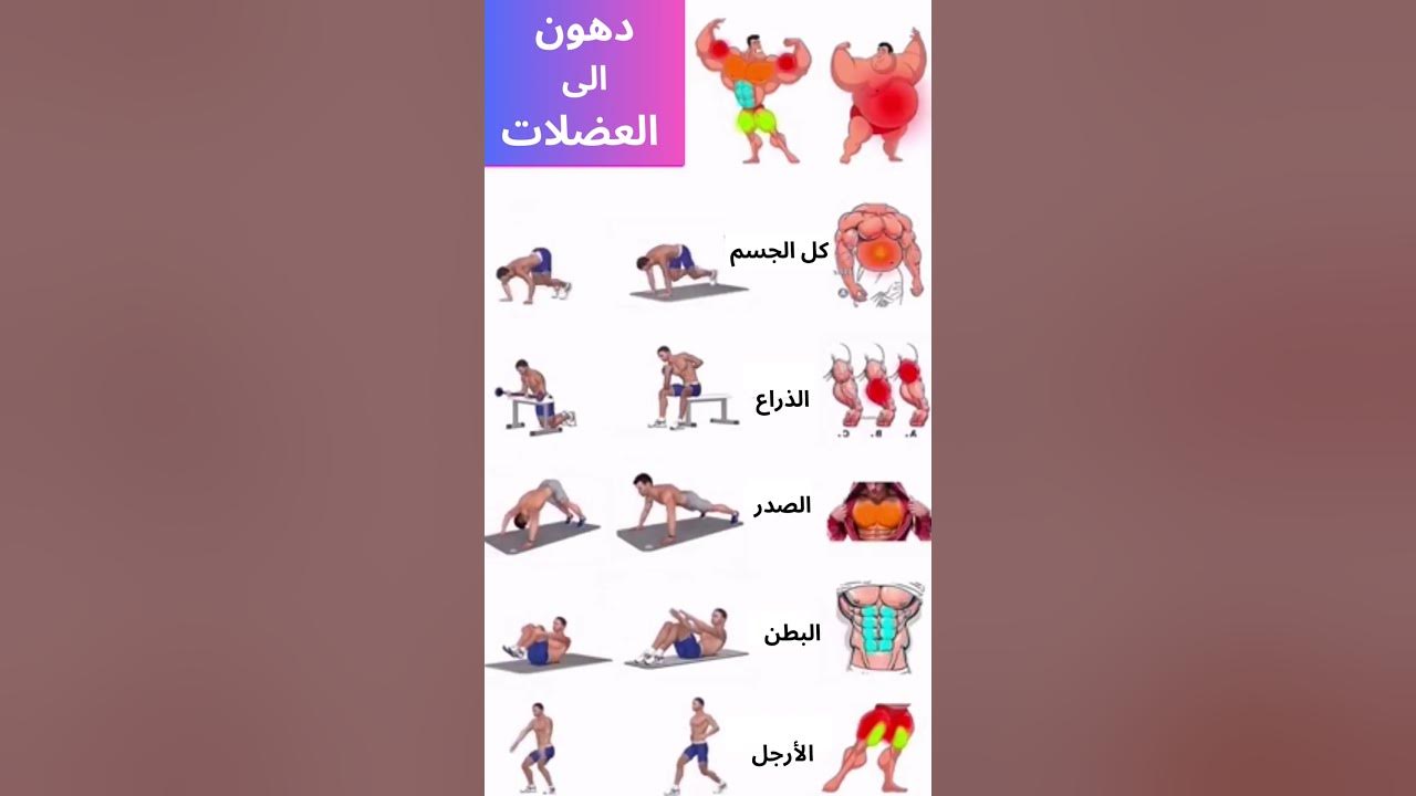 تمارين لكامل الجسم في المنزل  short#