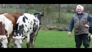 Thierry Olive Lamour Est Dans Le Pré On Lui A Diagnostiqué Une Grave Maladie