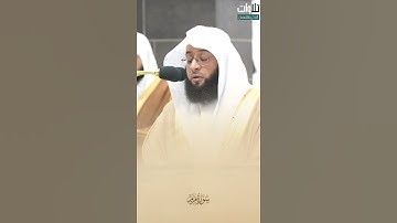 تلاوة جميلة جداً من سورة مريم فضيلة الشيخ بدر التركي تلاوة من صلاة التراويح بمسجد الحرام.