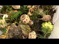 Budowa terrarium od postaw