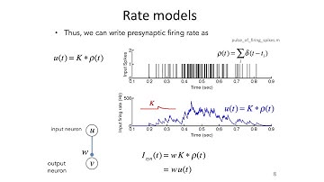 14: Rate Models and Perceptrons - Intro to Neural Computation