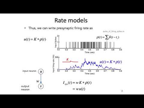 14: Rate Models and Perceptrons - Intro to Neural Computation thumbnail