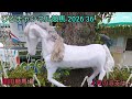 ひろチャンネル競馬 2026 36 「4月の収支は・・・」「4月もやりきりました」