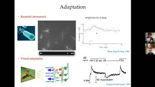 Thierry Mora - Precision, adaptation and prediction in biological systems