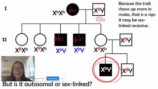 Pedigree Practice w/Patterns of Inheritance (AP Bio Unit 5)