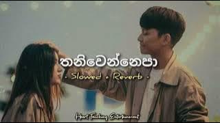 Thaniwennepa | තනිවෙන්නෙපා Slowed   Reverb | Heart Touching Entertainment
