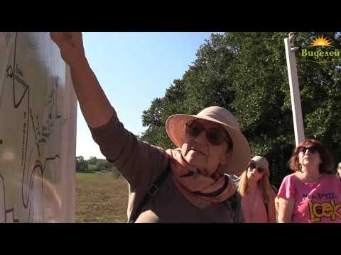 Проф. Д.Гергова. Ето