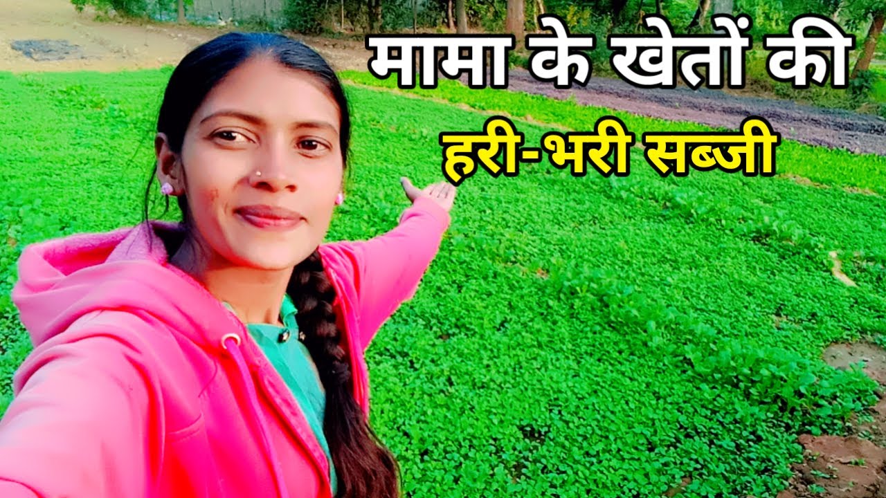 मेरे मामा के खेतों की हरी भरी सब्जी || Khushbu Donode