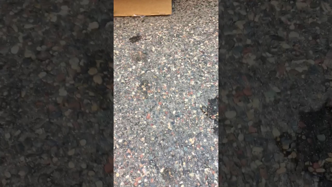 At-205 reseal stops leaks fast - YouTube