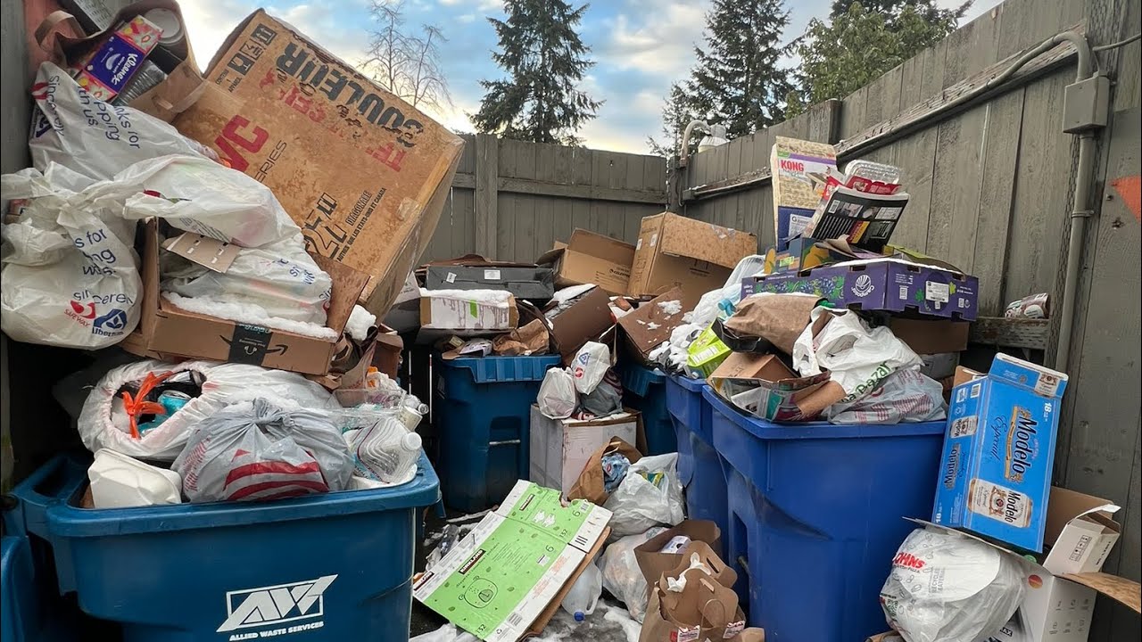 Major Enclosure Clean Out Recycling Rear loader