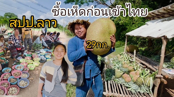 #เที่ยวลาว กลับเข้าไทยวันนี้ ซื้อเห็ดปลวกใหม่ ขนุนลูกใหญ่ไปทำพันธุ์ #บรรยากาศ สุดยอด#สาวลาว #สปปลาว