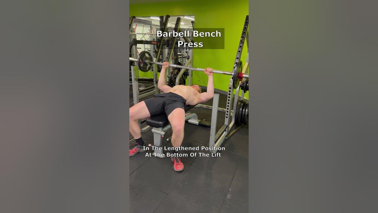 Bench Press Vs Chest Press Which One Is Best For Chest Growth bench-press-vs-chest-press-which-one-is-best-for-chest-growth