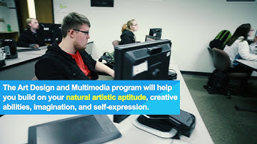 Art Design and Multimedia: Program in a Minute