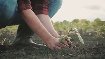 The Story of Creation:  A Journey Through Genesis