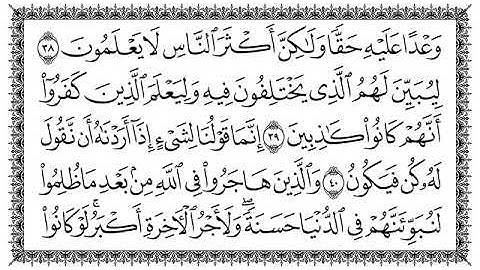 سورة النحل مكتوبة بصوت القارئ سعد الغامدي#القرآن_الكريم #سعد_الغامدي