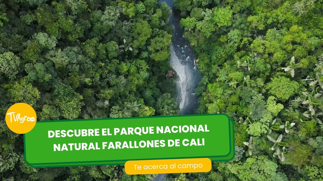 Parque Natural Nacional Farallones de Cali- TvAgro por Juan Gonzalo Angel Restrepo