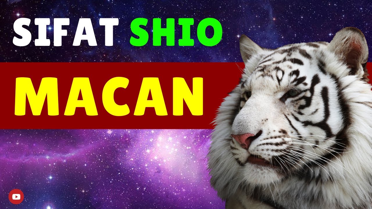 Kamu  SHIO MACAN  Tonton WATAK SIFAT Shio Macan  di 